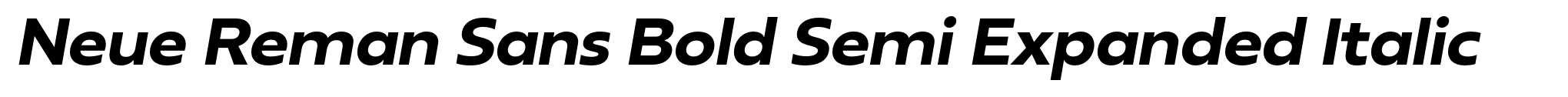 Neue Reman Sans Bold Semi Expanded Italic image